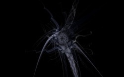 2014 12 15 Shadow Play 022-black.jpg